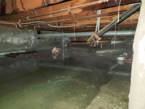 Best Water damage mitigation services  in Lago Vista, TX
