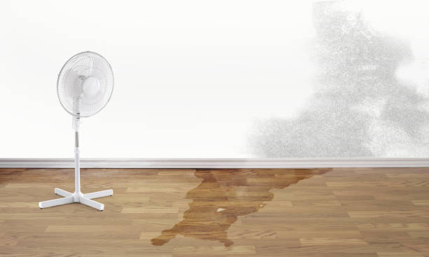 Best Water damage restoration cost  in Lago Vista, TX