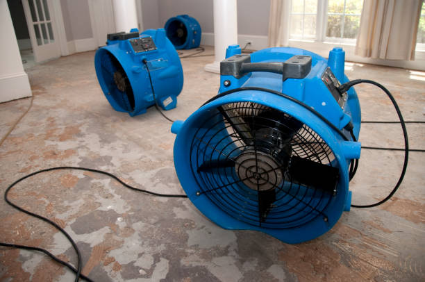 Water damage restoration mold remediation in Lago Vista, TX