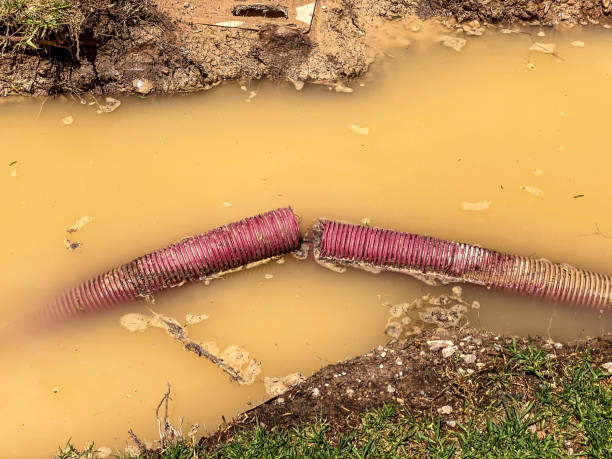 Best Commercial water damage restoration  in Lago Vista, TX